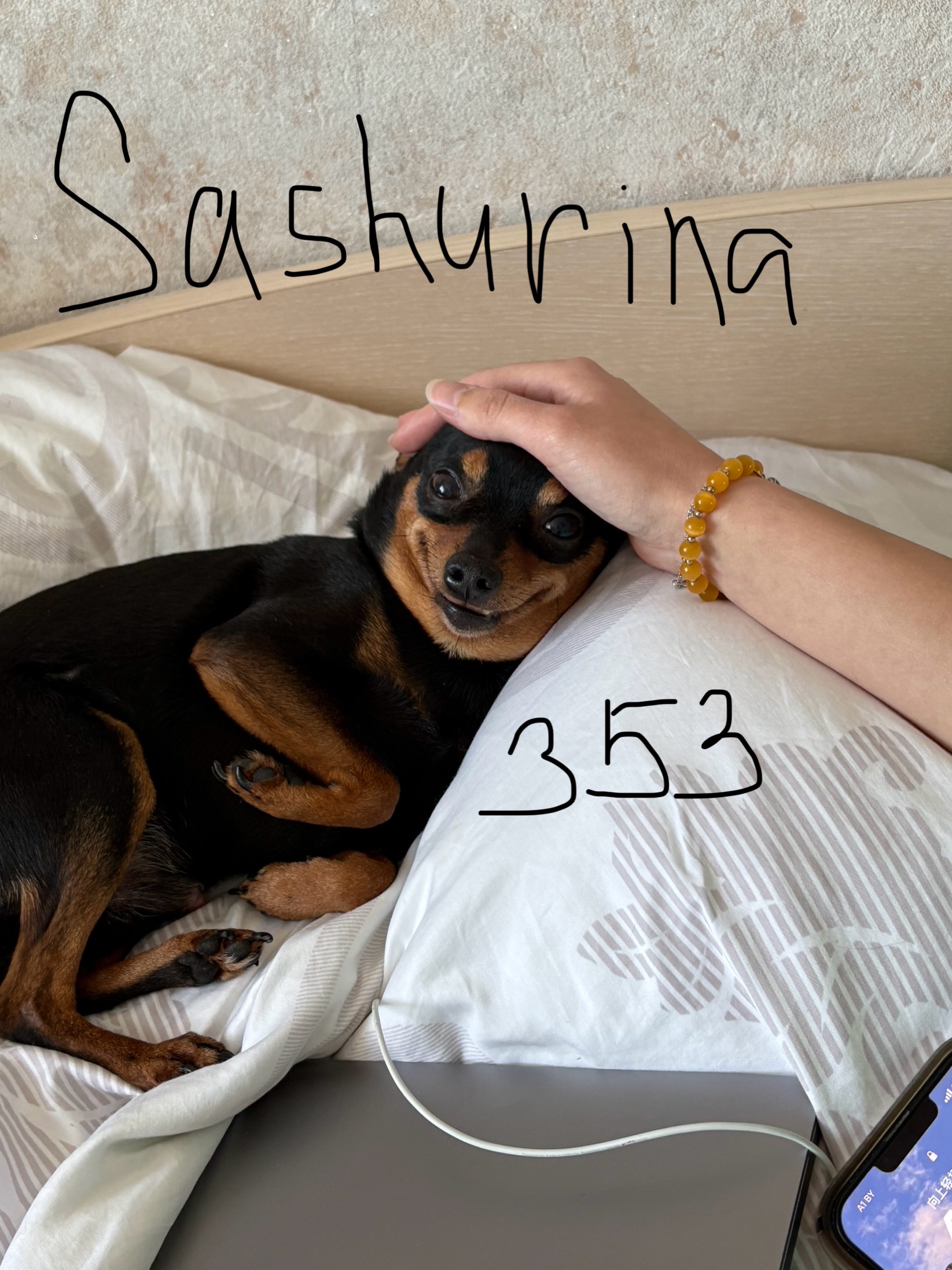 Image of Sashurina Maria